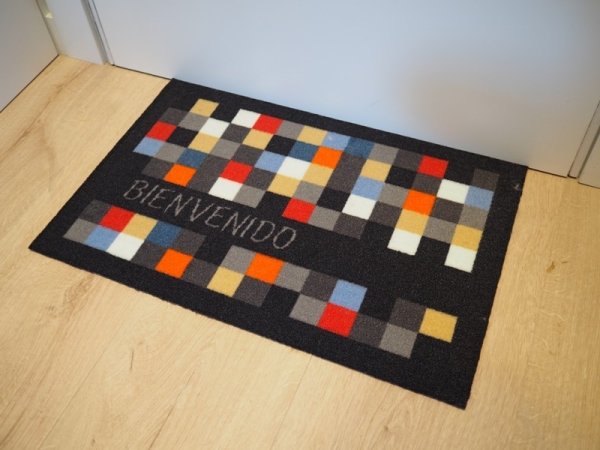 BIENVENIDO 40x60 cm